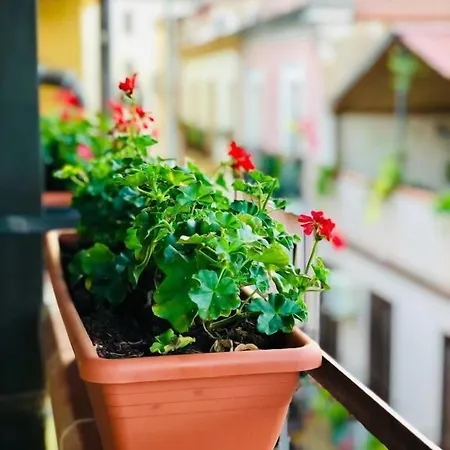 Il Terrazzino 3*