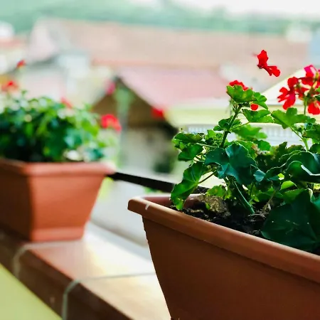 Il Terrazzino Bed & Breakfast